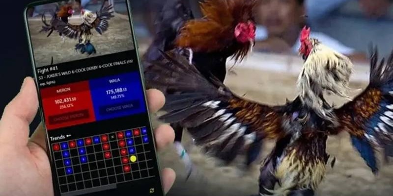 Quy định tại WW88 người chơi cần tuân thủ